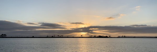 Brees Profile Banner