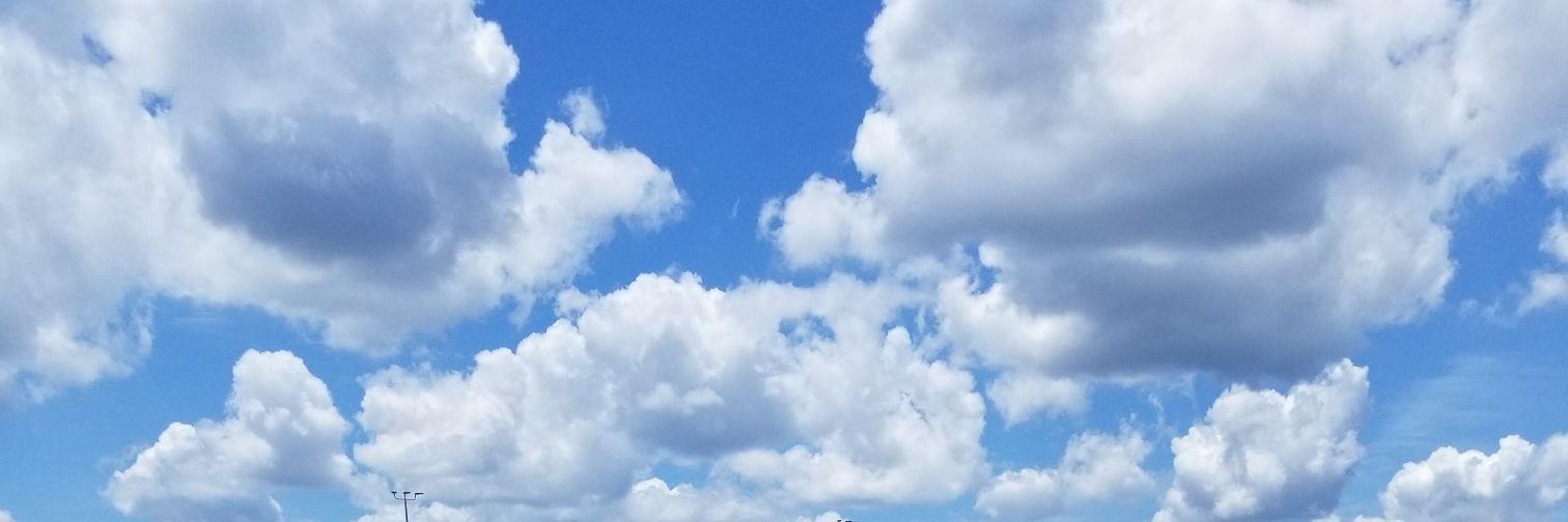 fourtweetssake's profile banner image