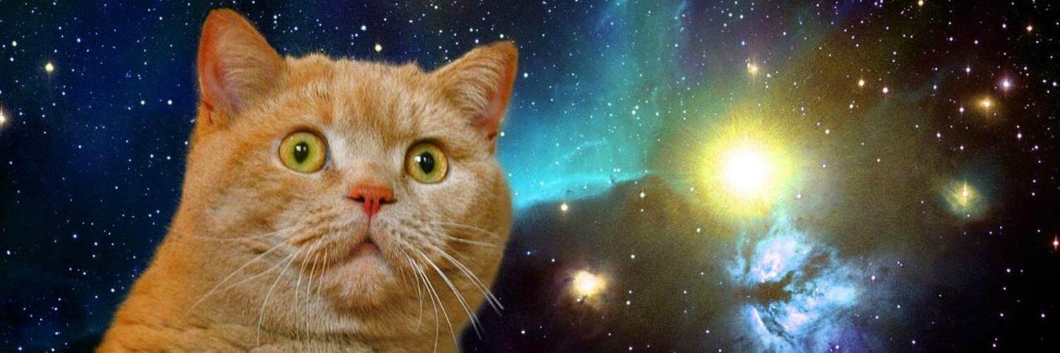 Tatsuro Shibamura banner