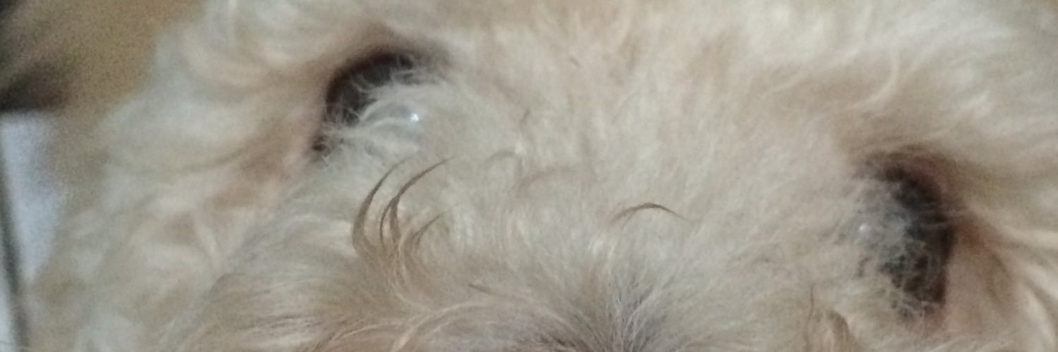 twa_marques's profile banner image