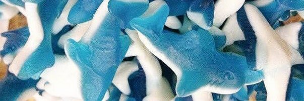 🦈ハムタ二🧟 banner