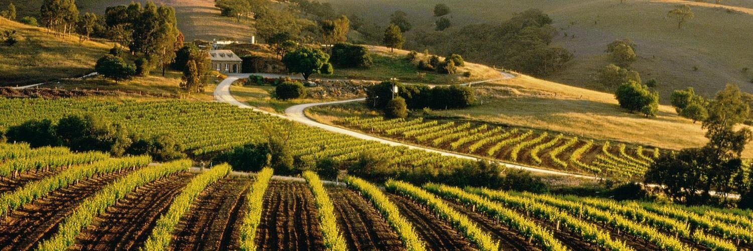 bethanywines's profile banner image