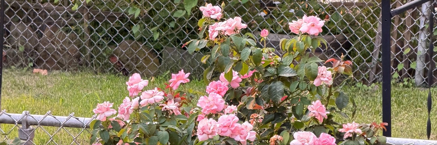 nbhdesi's profile banner image