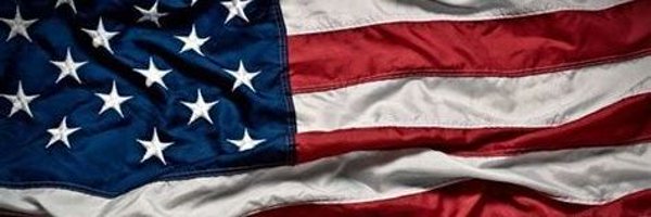 AngryMinis Profile Banner