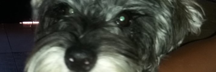 LopezJosefelipe's profile banner image