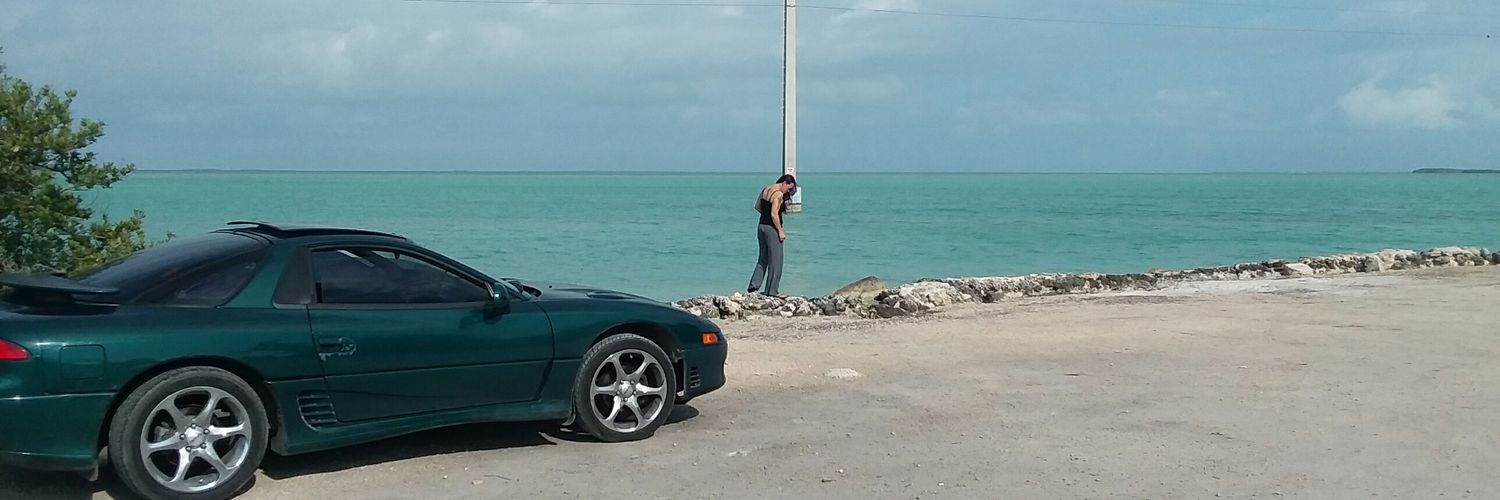 PrinceBullFrog's profile banner image