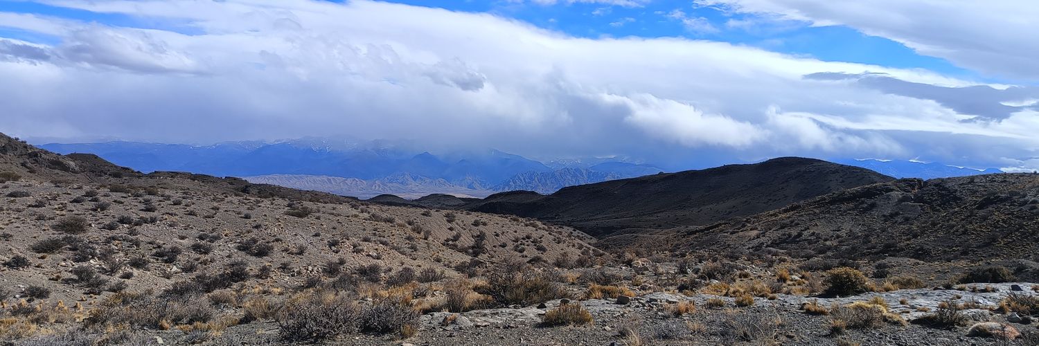 Leo Mastrangelo banner