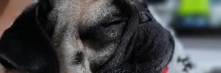 mecrepaldi's profile banner image