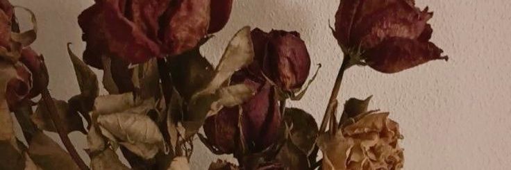 x_altlgrl's profile banner image