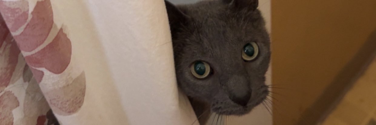 Grandmaslex's profile banner image