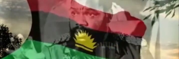 EMMANUEL NECHI banner