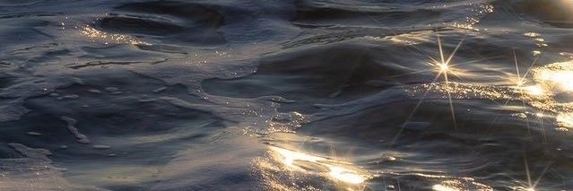 Svsss69's profile banner image