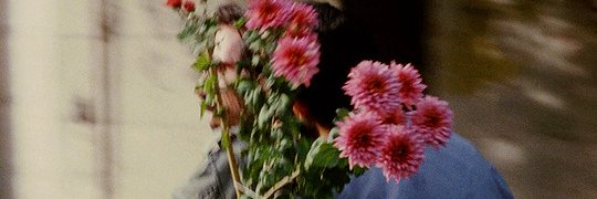 flowersincinema's profile banner image