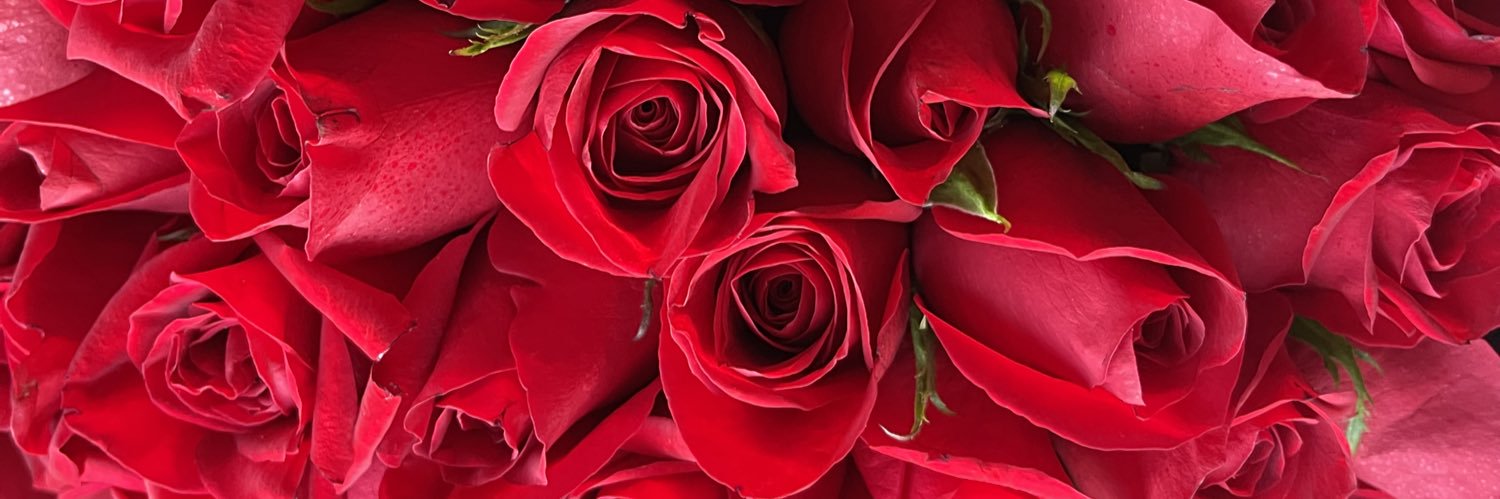 𝓕ᥲbιoᥣᥲ 🍒✨ banner