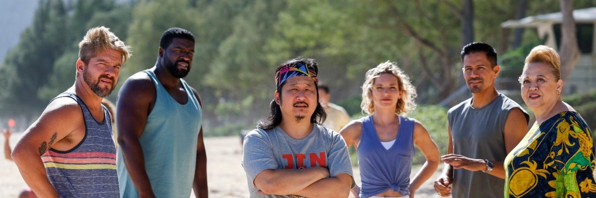 Castleobserver banner