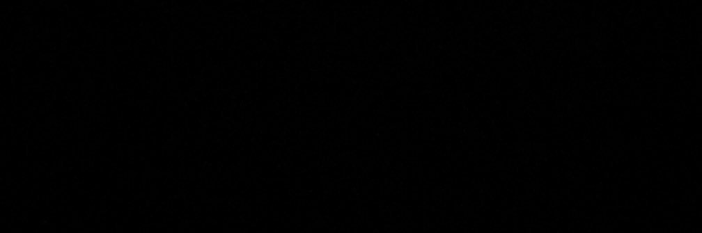 Leena banner