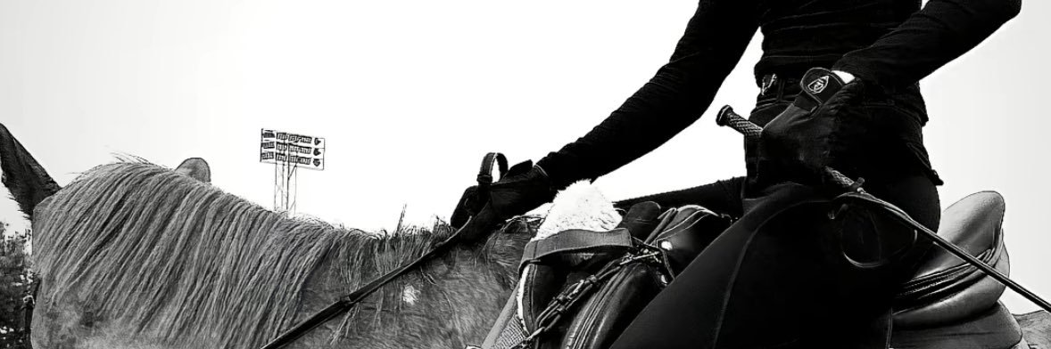 hananbaset11's profile banner image