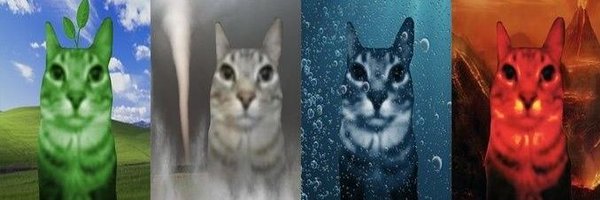 Swordtaail Profile Banner