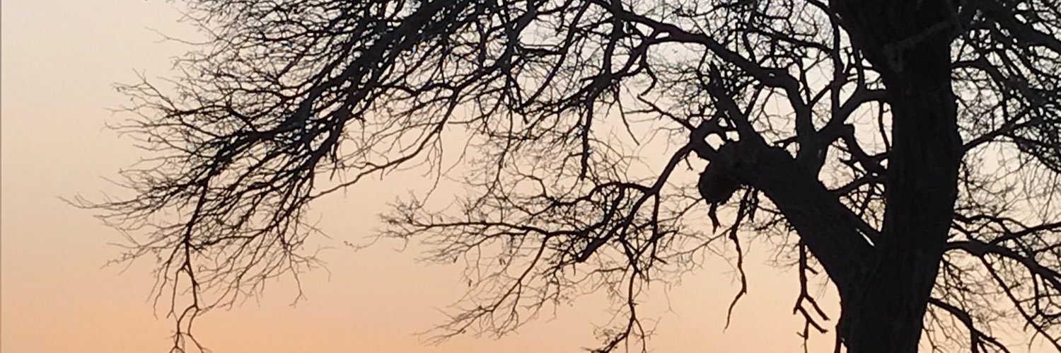 elchoripollo's profile banner image