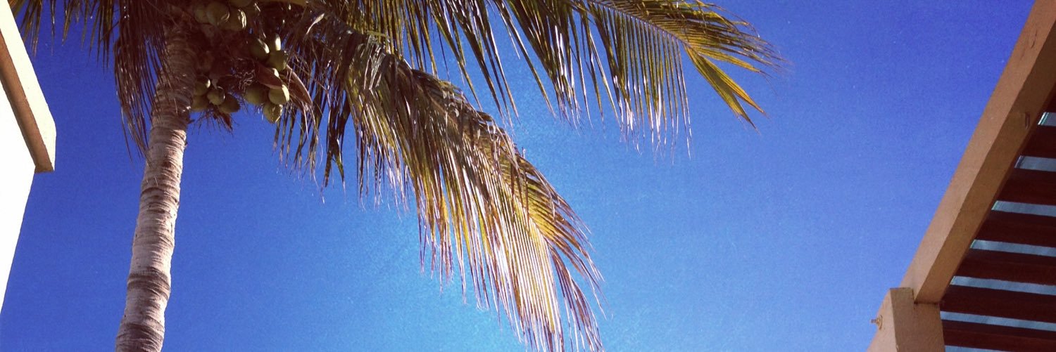 DanCruzzz's profile banner image