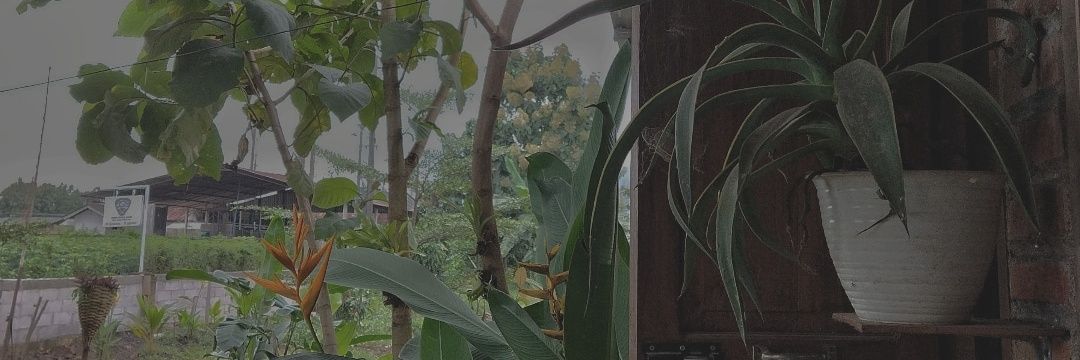 weird_monkeyss's profile banner image