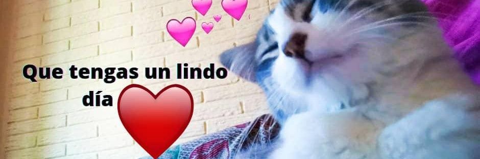 Yumiramirez's profile banner image