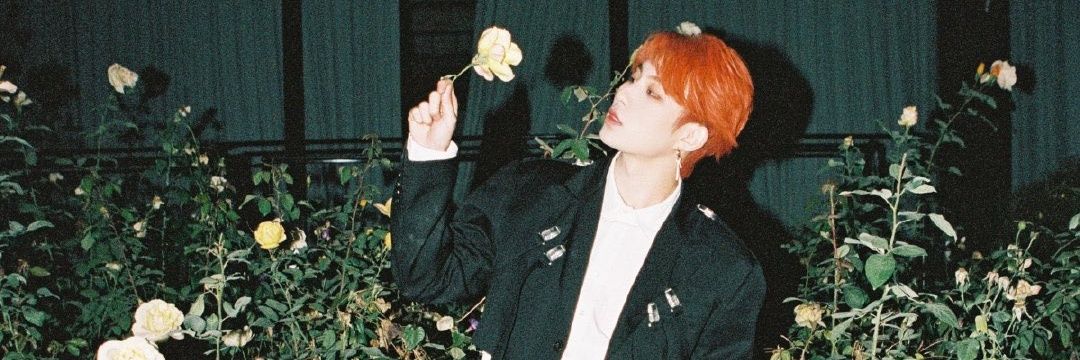 dedaymydear06's profile banner image