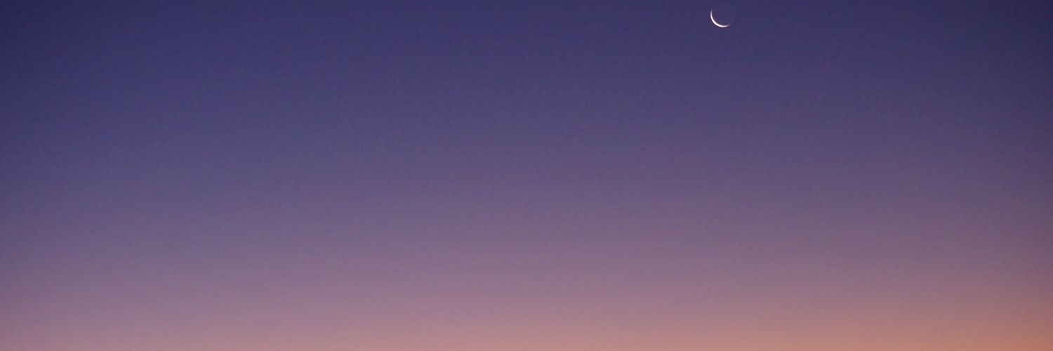 豆目(まめめ) banner