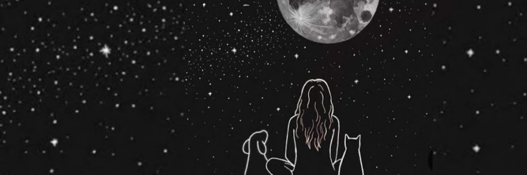 micacampoos's profile banner image