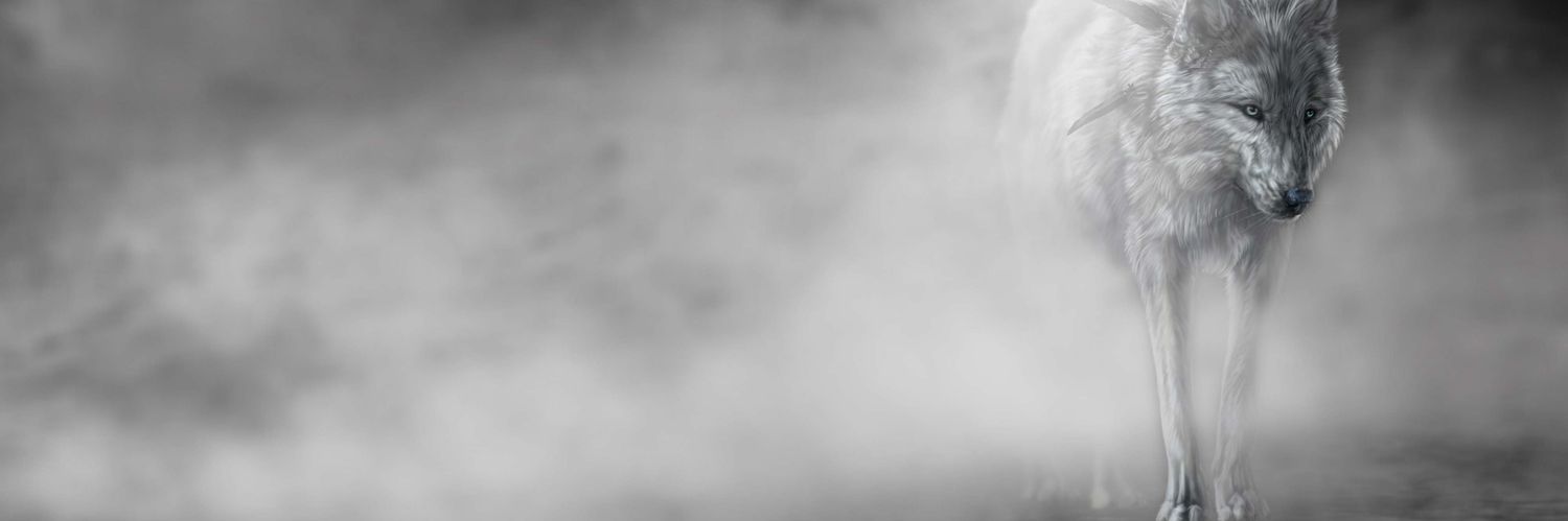 Jose Daniel Mena banner