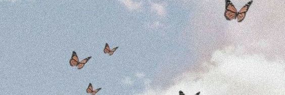 Sniggyy19's profile banner image