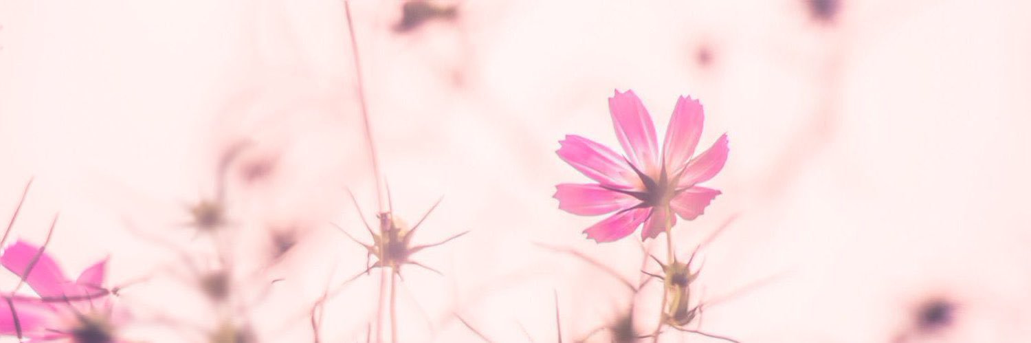 rin393939s's profile banner image