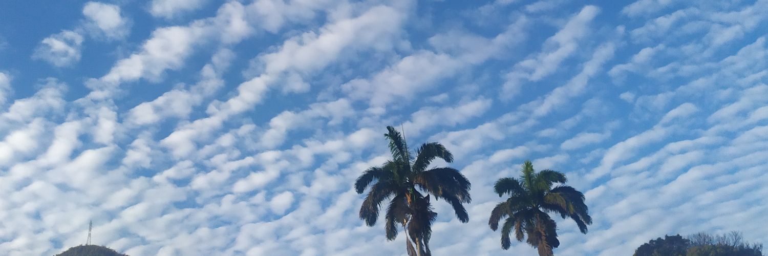 mkyanez's profile banner image