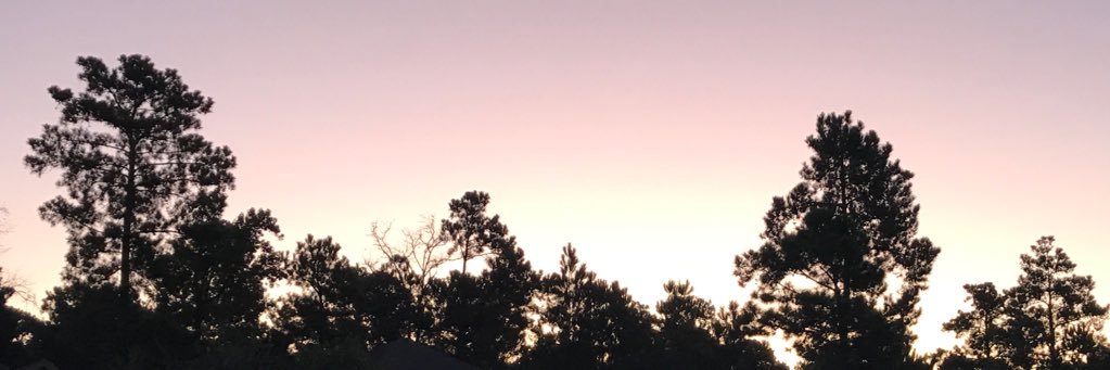 JMikeToler's profile banner image