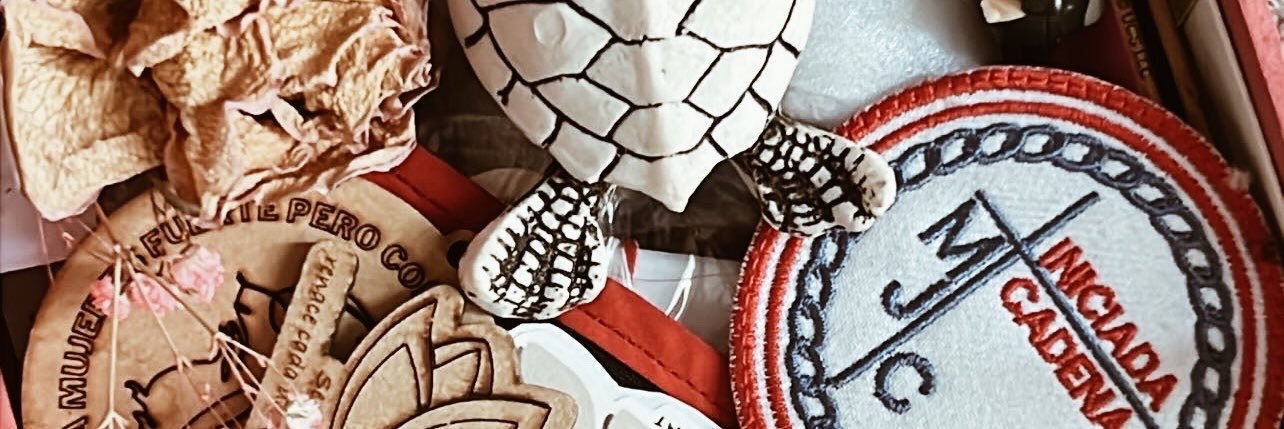 sofiacstll's profile banner image