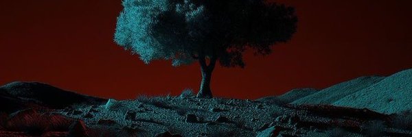 0xPsychoShui Profile Banner