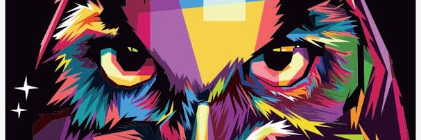 Sall.zx banner