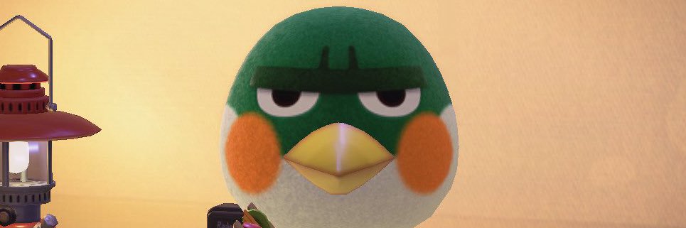 Mem banner