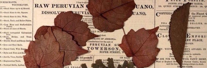 gibbardrw's profile banner image