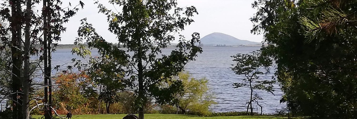 Fitzgerald Cantero Piali banner