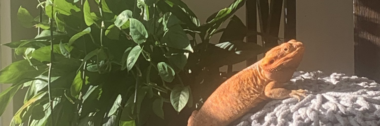deadmeows5's profile banner image