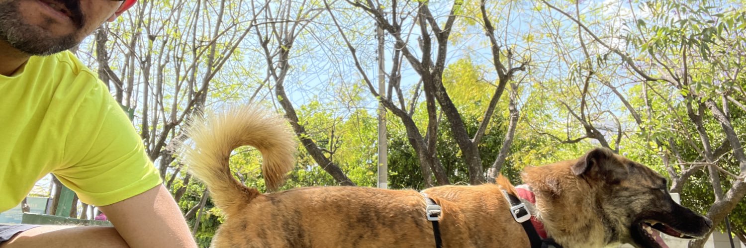 jesoserrano's profile banner image