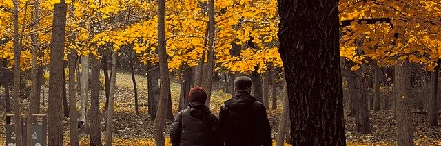 blgrciyg's profile banner image