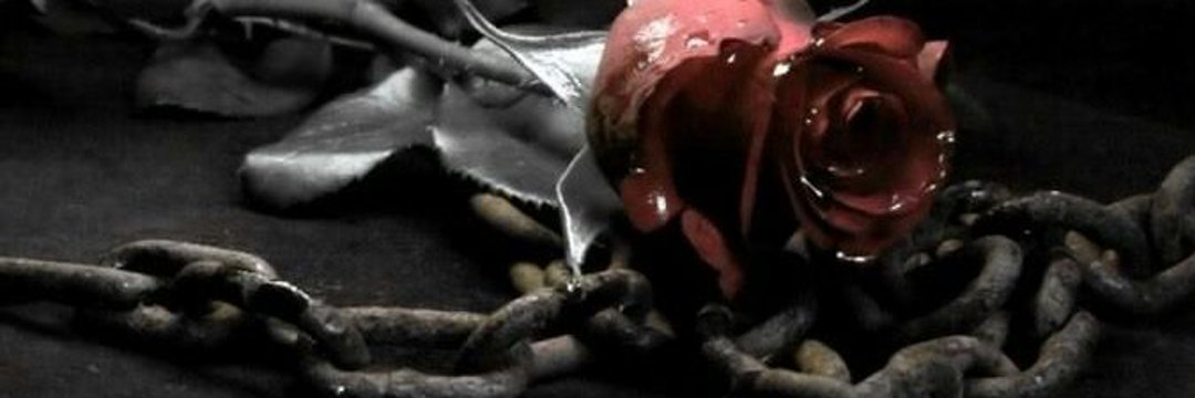 🏳️‍⚧️𝙈𝙞𝙨𝙨 𝙍𝙖𝙫𝙚𝙣 OF 🏳️‍⚧️ banner