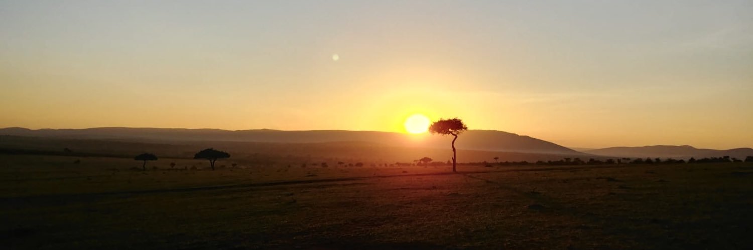 belemca's profile banner image