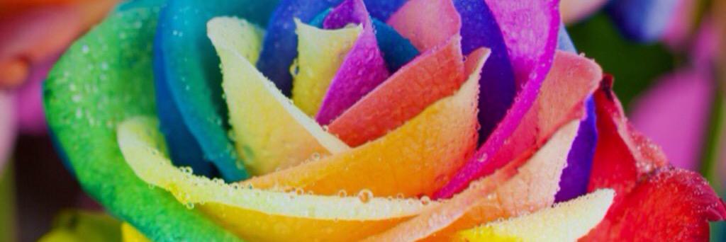 LilLil2105's profile banner image