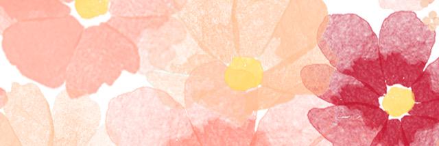 Lucile banner