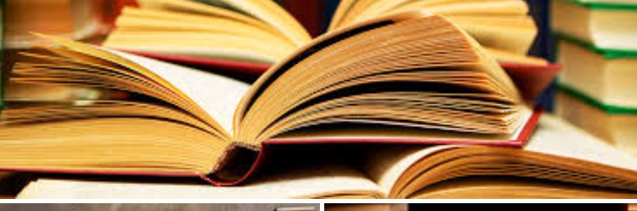 BookJunkieMom's profile banner image