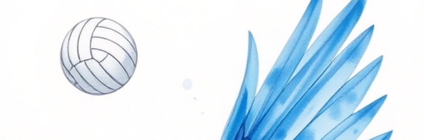 falcon smasher🐦✨ banner