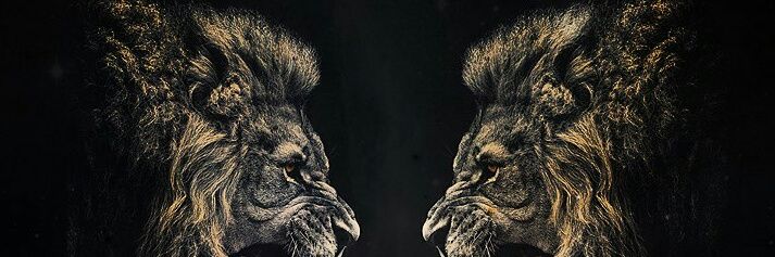 DasSinnu's profile banner image